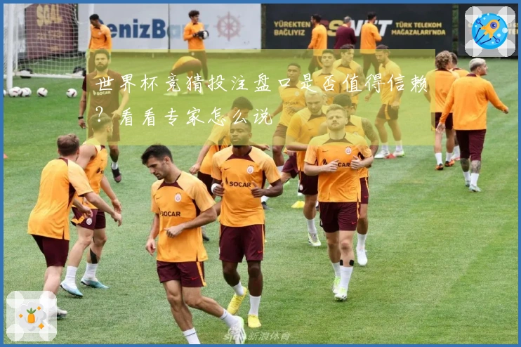 世界杯竞猜投注盘口是否值得信赖？看看专家怎么说