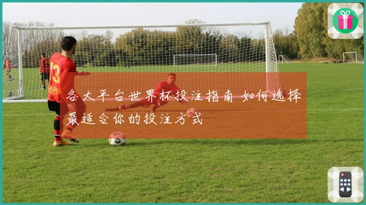 各大平台世界杯投注指南 如何选择最适合你的投注方式