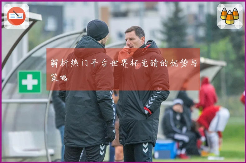 解析热门平台世界杯竞猜的优势与策略
