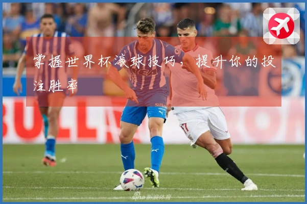 掌握世界杯滚球技巧，提升你的投注胜率