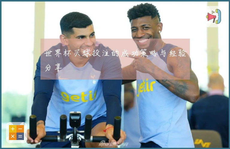 世界杯买球投注的成功策略与经验分享