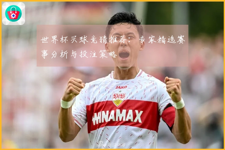 世界杯买球竞猜推荐:专家精选赛事分析与投注策略