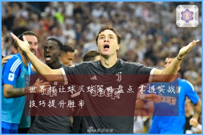 世界杯让球买球策略盘点 掌握实战技巧提升胜率