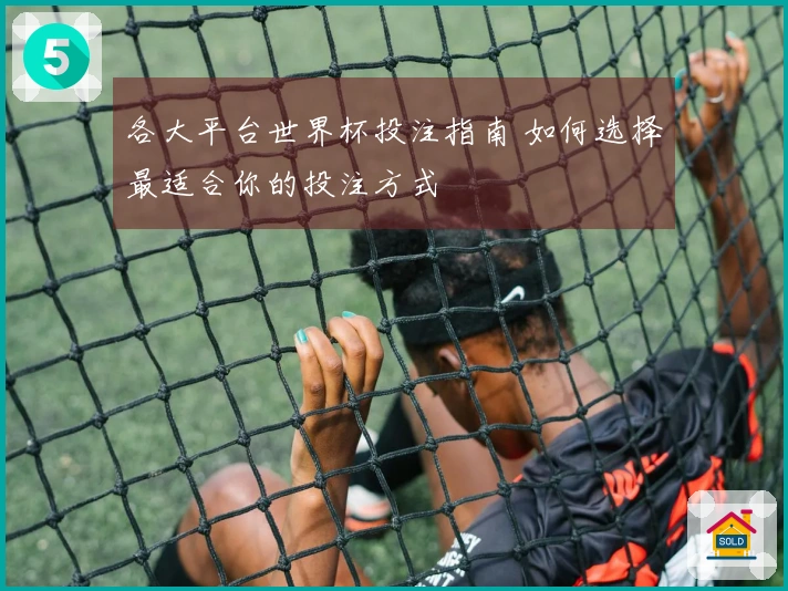 各大平台世界杯投注指南 如何选择最适合你的投注方式
