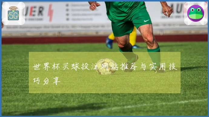 世界杯买球投注网站推荐与实用技巧分享