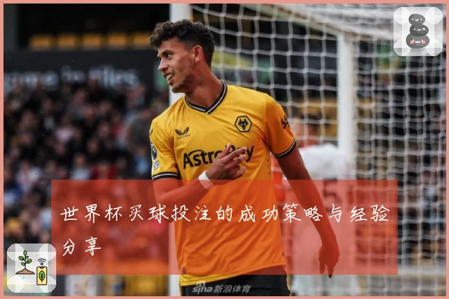 世界杯买球投注的成功策略与经验分享