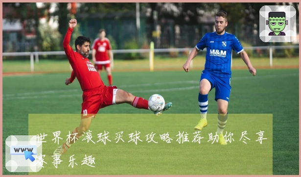 世界杯滚球买球攻略推荐助你尽享赛事乐趣