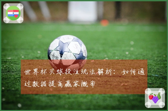 世界杯买球投注玩法解析：如何通过数据提高赢家概率