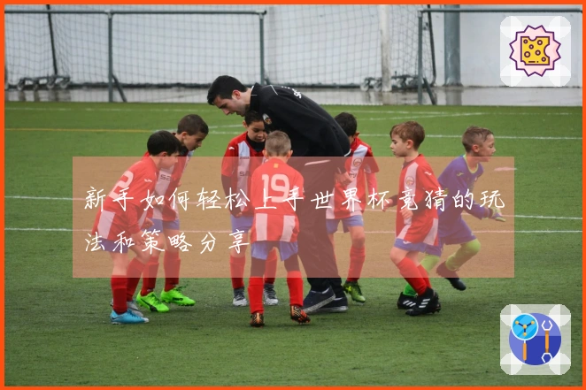 新手如何轻松上手世界杯竞猜的玩法和策略分享
