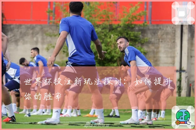 世界杯投注新玩法探讨：如何提升你的胜率