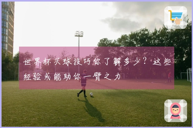 世界杯买球技巧你了解多少？这些经验或能助你一臂之力